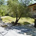 Paradiso Istriano - Mediterraneo And Olive