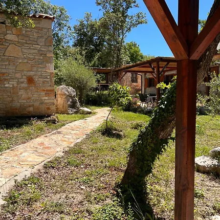 Paradiso Istriano - Mediterraneo And Olive Apartment