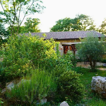 Paradiso Istriano - Mediterraneo And Olive Apartamento Rovinj