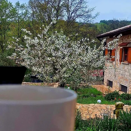 Paradiso Istriano - Mediterraneo And Olive 로비니
