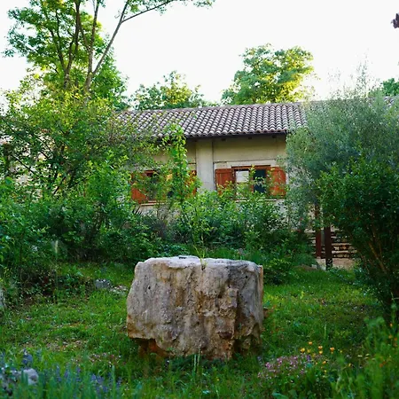 Paradiso Istriano - Mediterraneo And Olive