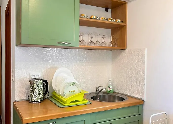 Paradiso Istriano - Mediterraneo And Olive Apartament Rovinj